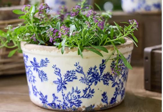 Blue Floral Wide Pot - Small