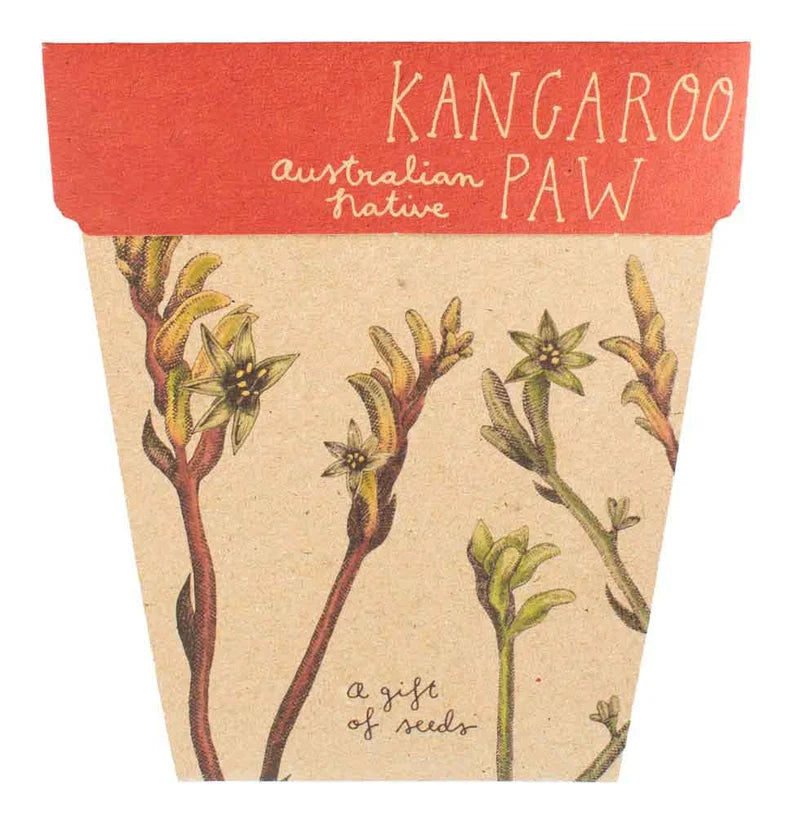 Sow ‘n Sow Gift of Seeds - Kangaroo Paw