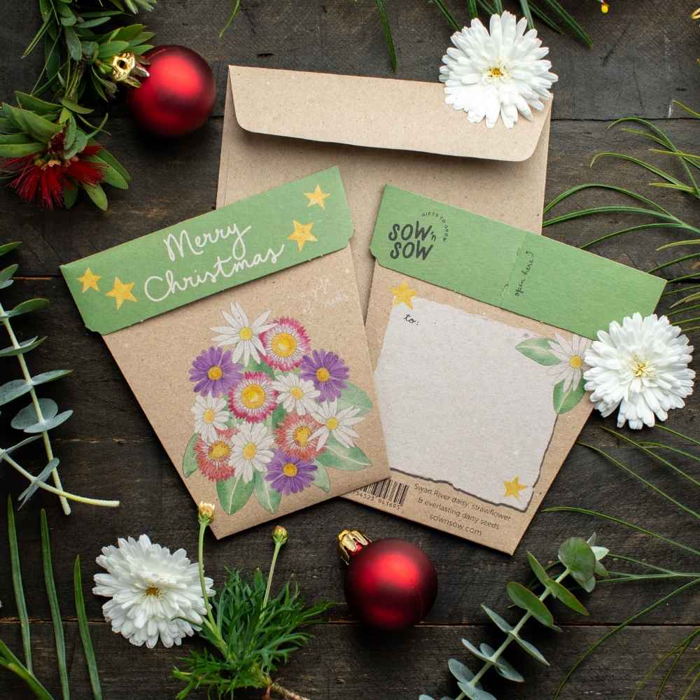 Sow ‘n Sow Gift of Seeds - Christmas Native Daisies