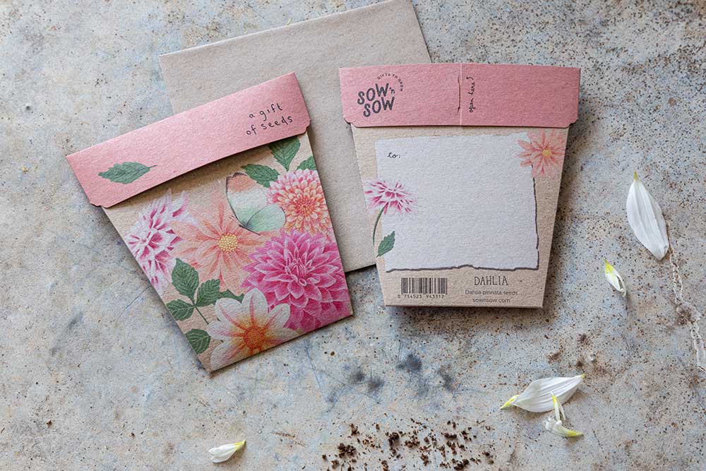 Sow 'n Sow Gift of Seeds - Dahlia