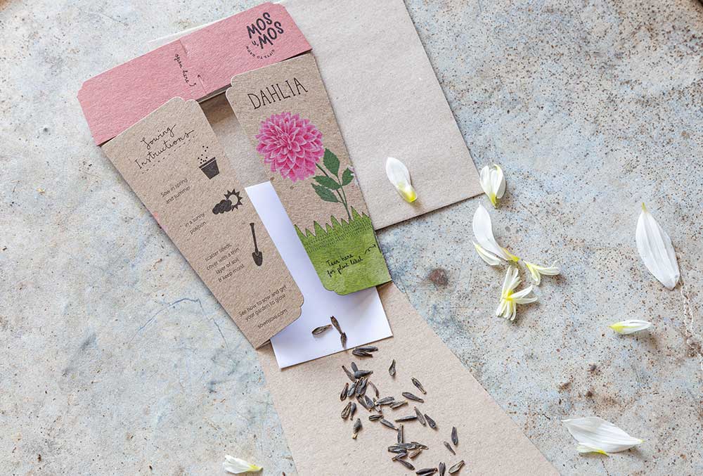 Sow 'n Sow Gift of Seeds - Dahlia