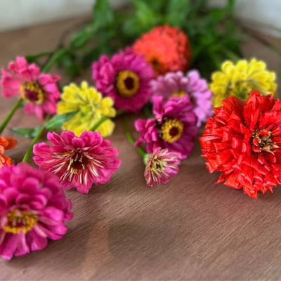 Sow ‘n Sow Gift of Seeds - Thanks a Bunch