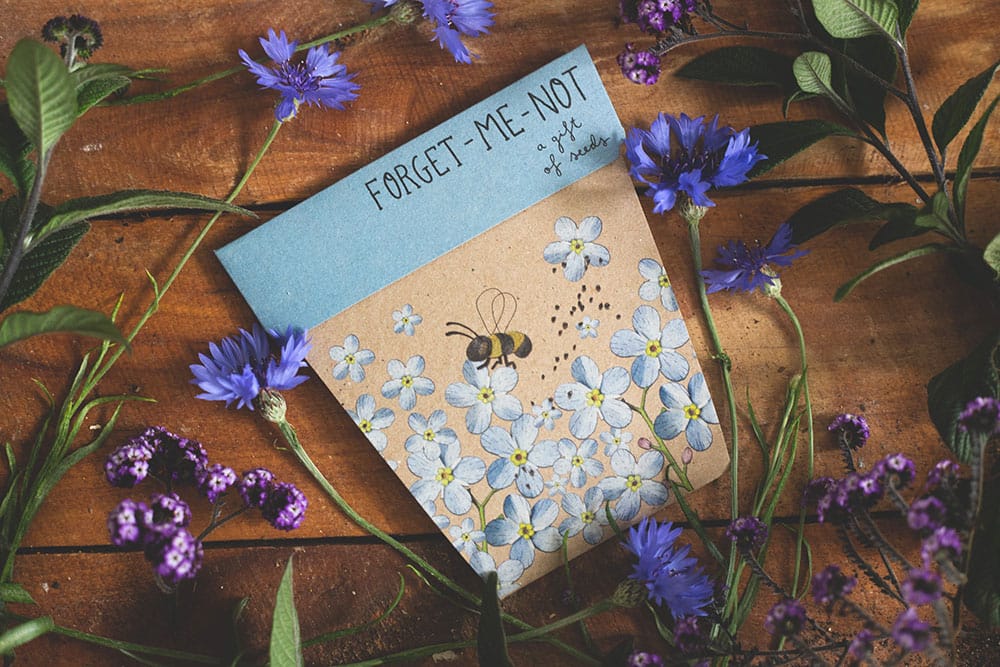 Sow 'n Sow Gift of Seeds - Forget-Me-Not