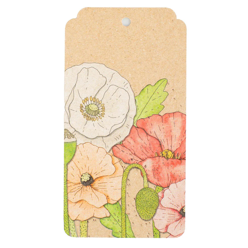 Sow 'n  Sow Recycled Gift Tags