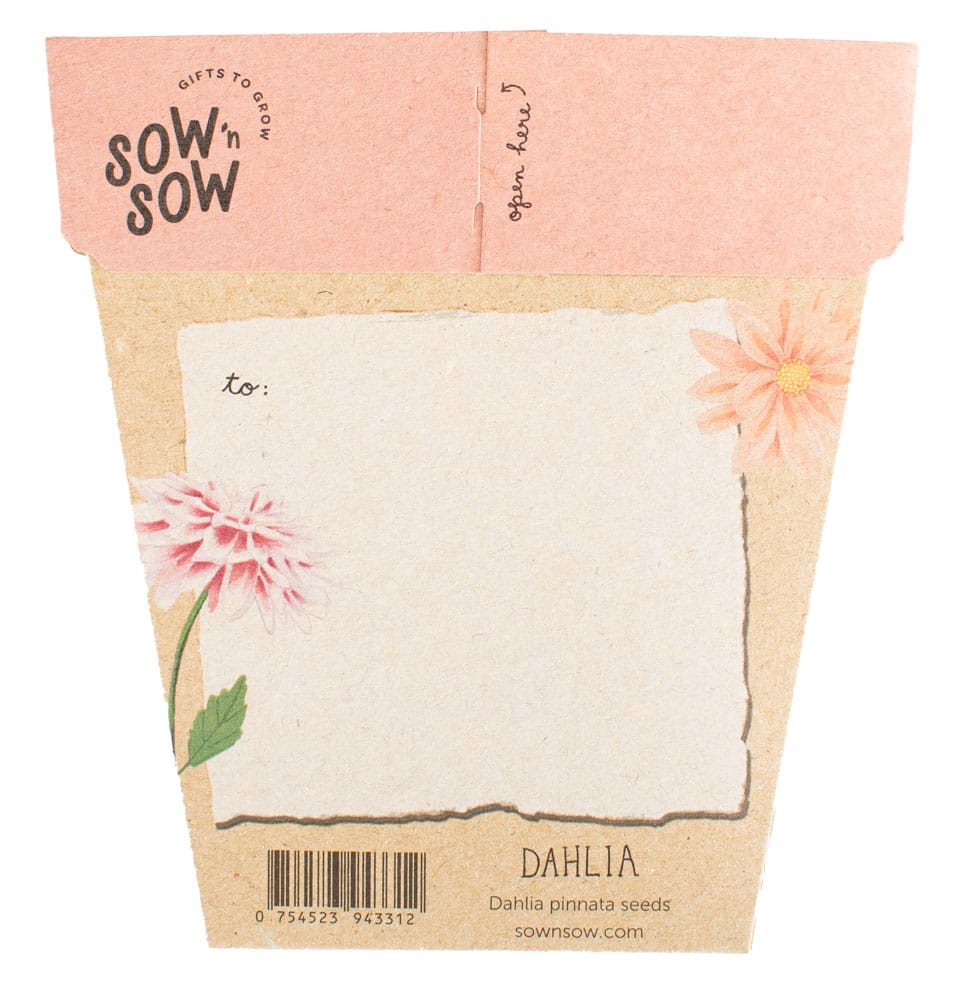 Sow 'n Sow Gift of Seeds - Dahlia