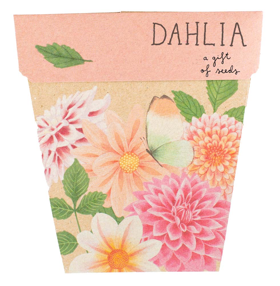 Sow 'n Sow Gift of Seeds - Dahlia