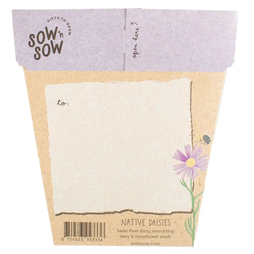 Sow 'n Sow Gift of Seeds - Native Daisies