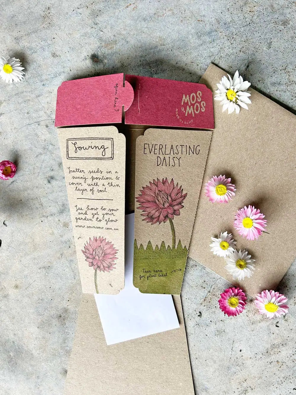 Sow 'n Sow Gift of Seeds - Everlasting Daisy