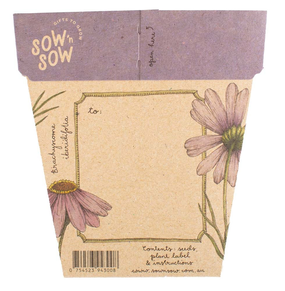 Sow 'n Sow Gift of Seeds - Swan River Daisy