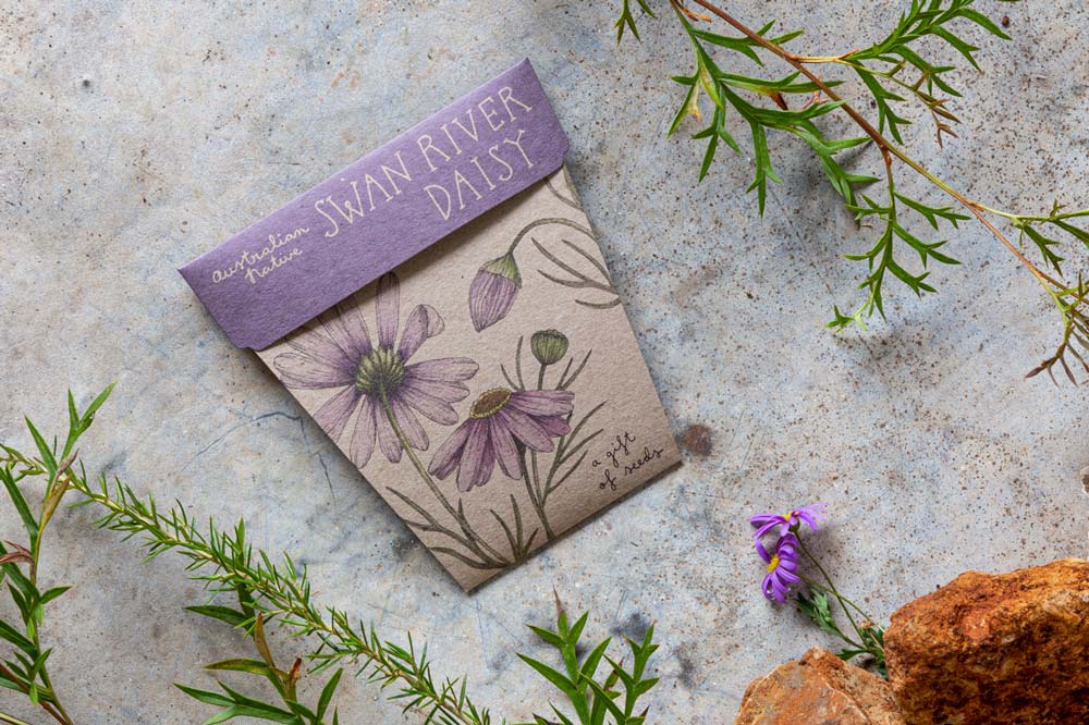 Sow 'n Sow Gift of Seeds - Swan River Daisy