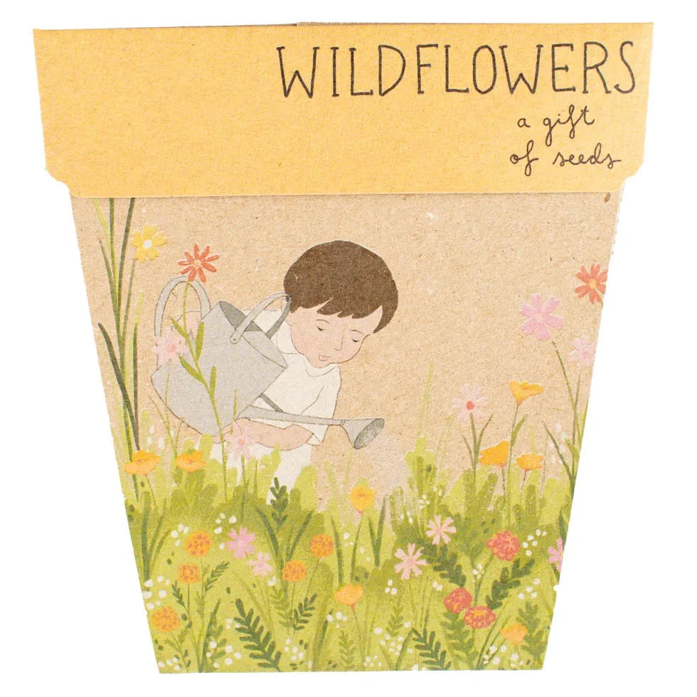 Sow 'n Sow Gift of Seeds - Wildflowers