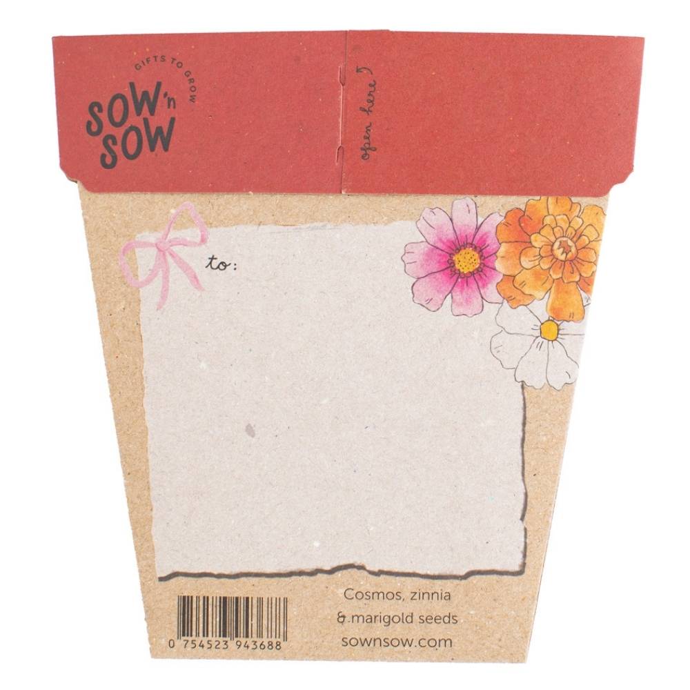 Sow 'n Sow Gift of Seeds - Xmas Blooms