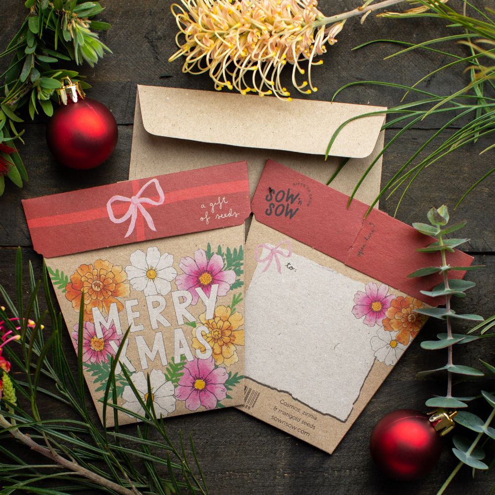 Sow 'n Sow Gift of Seeds - Xmas Blooms