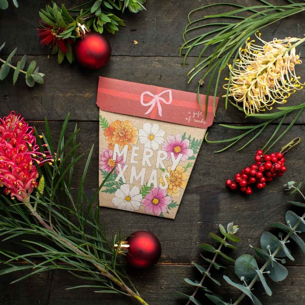 Sow 'n Sow Gift of Seeds - Xmas Blooms