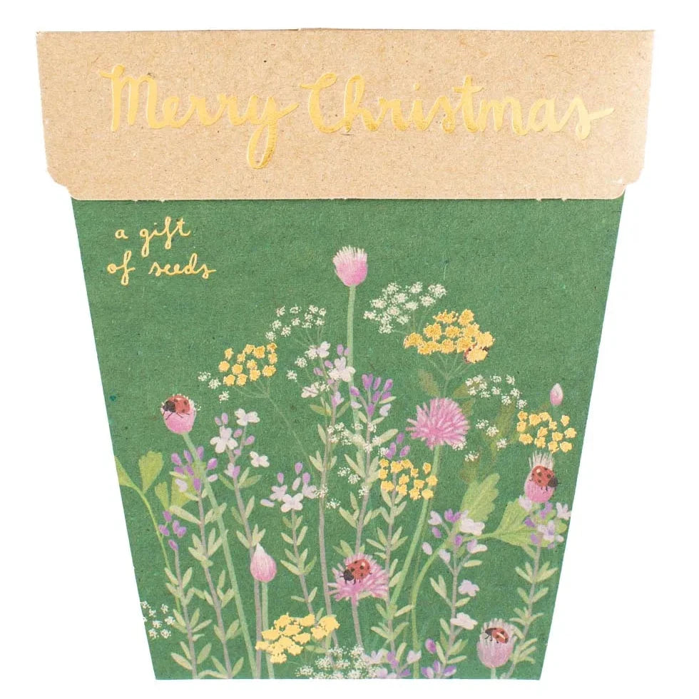 Sow 'n Sow Gift of Seeds - Christmas Herbs