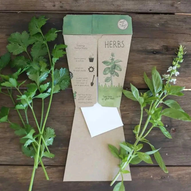 Sow 'n Sow Gift of Seeds - Trio of Herbs