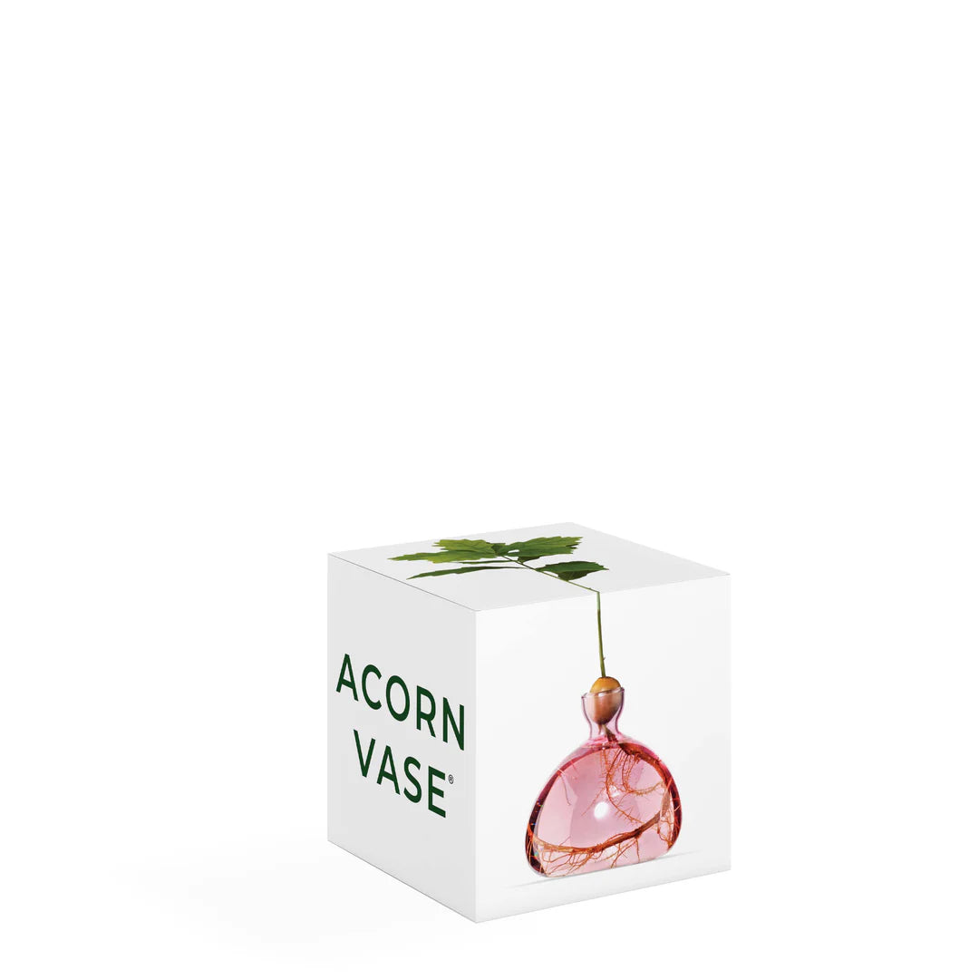 Ilex Studio Acorn Vase