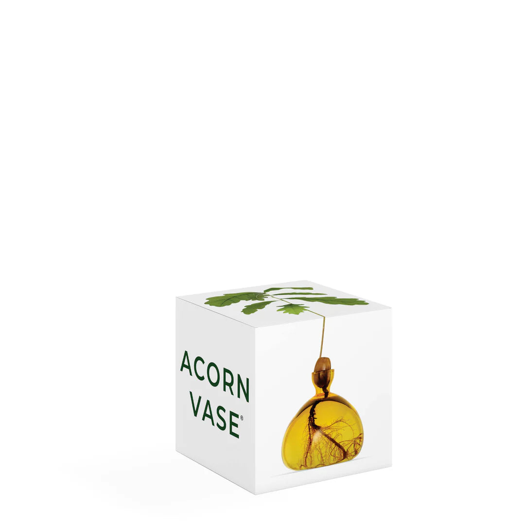 Ilex Studio Acorn Vase