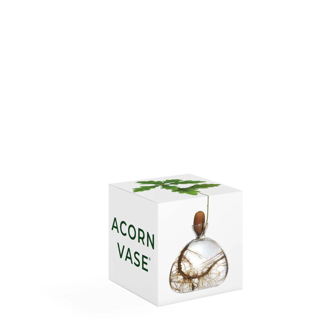 Ilex Studio Acorn Vase