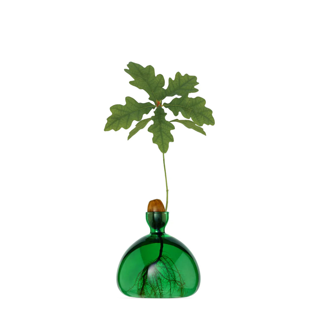 Ilex Studio Acorn Vase
