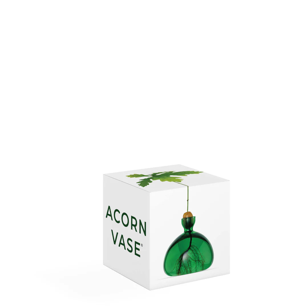 Ilex Studio Acorn Vase