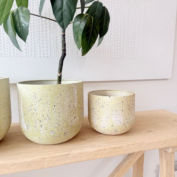 Como Tuscan Planter - 3 sizes