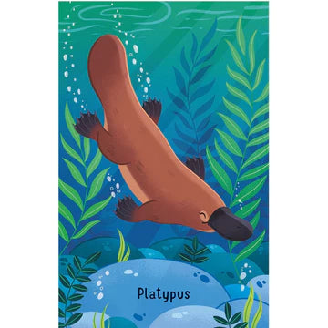 Australian Animals Snap Cards