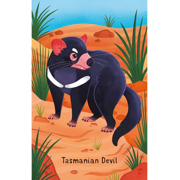 Australian Animals Snap Cards
