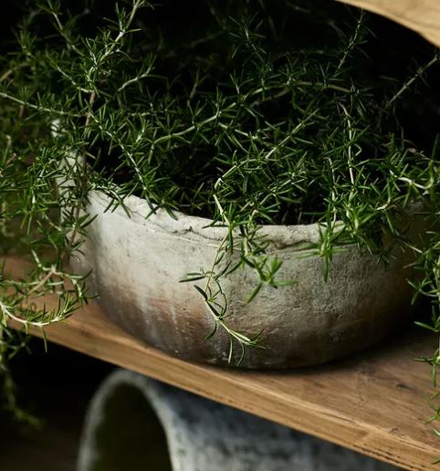 Marron Planter Bowl - Small