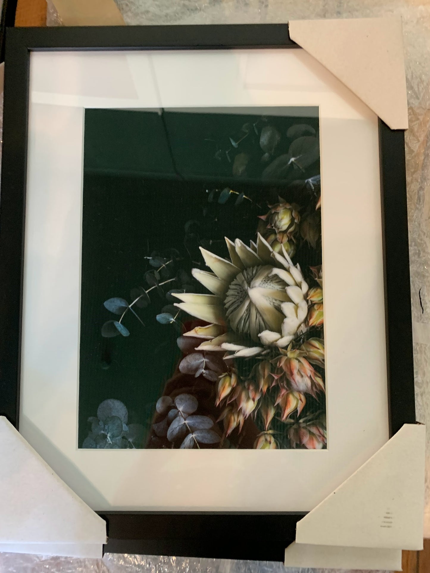 Floragraphica Protea  Bouquet - A4 Still Life Framed Photograph