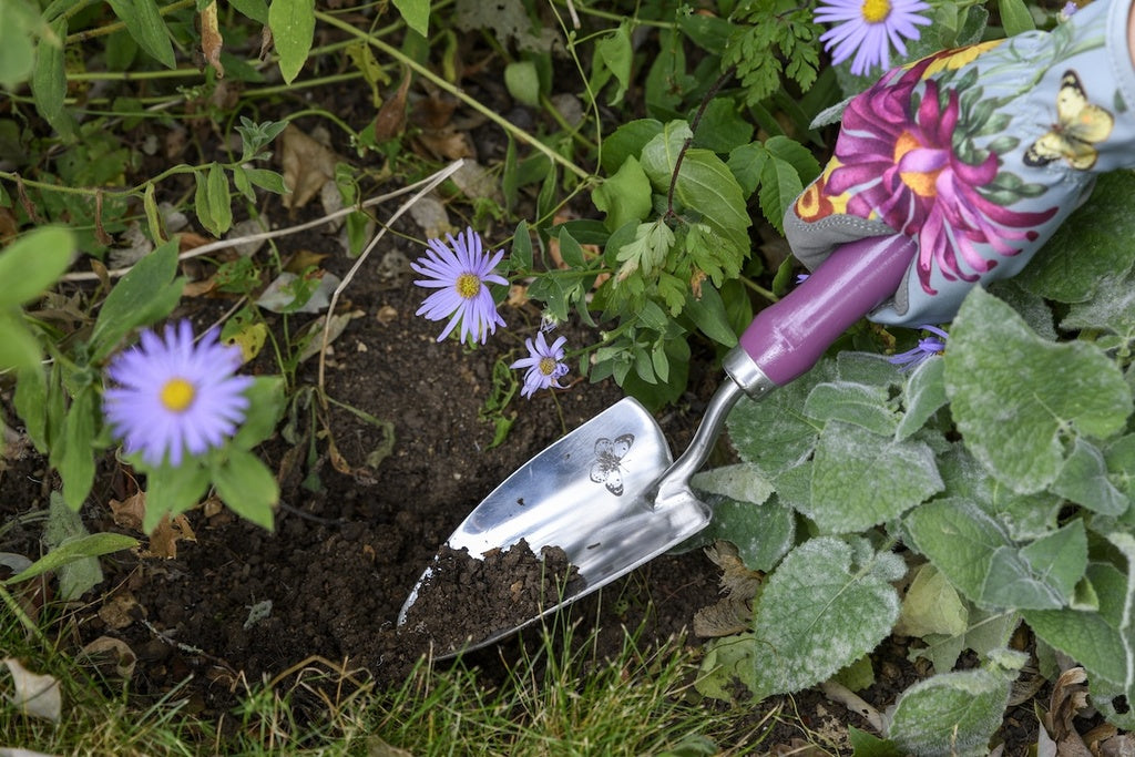 Burgon & Ball Trowel and Fork Gift Boxed Set - Asteraceae