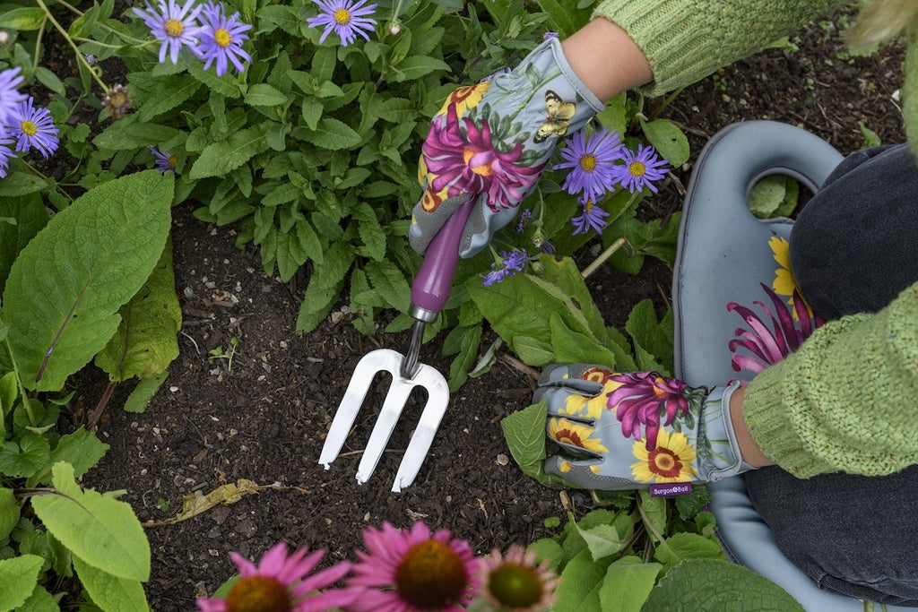 Burgon & Ball Trowel and Fork Gift Boxed Set - Asteraceae