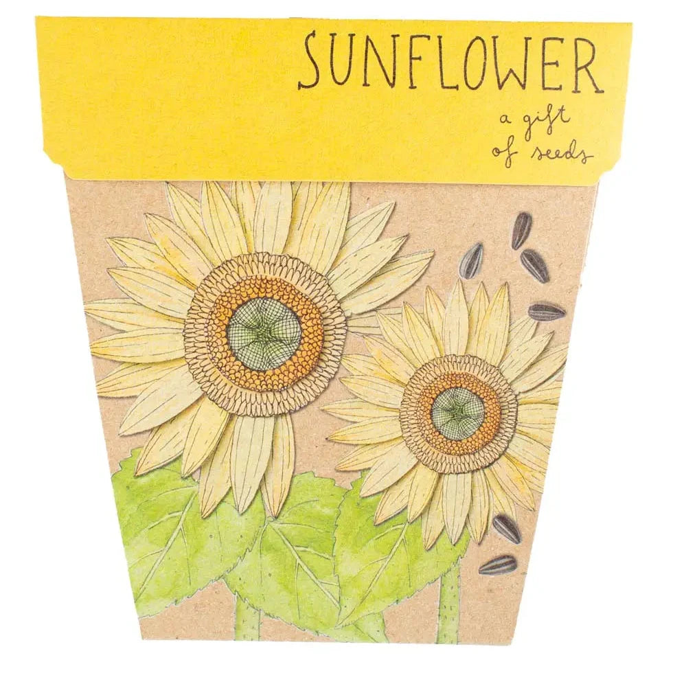 Sow 'n Sow Gift of Seeds - Sunflowers