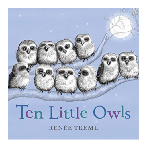 Ten Little Owls