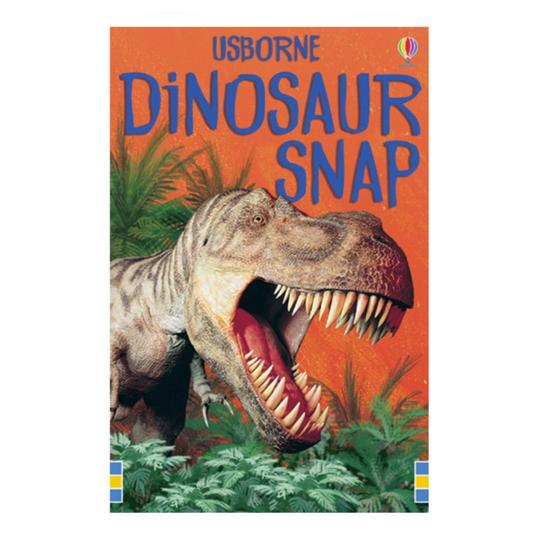 Dinosaur Snap Cards