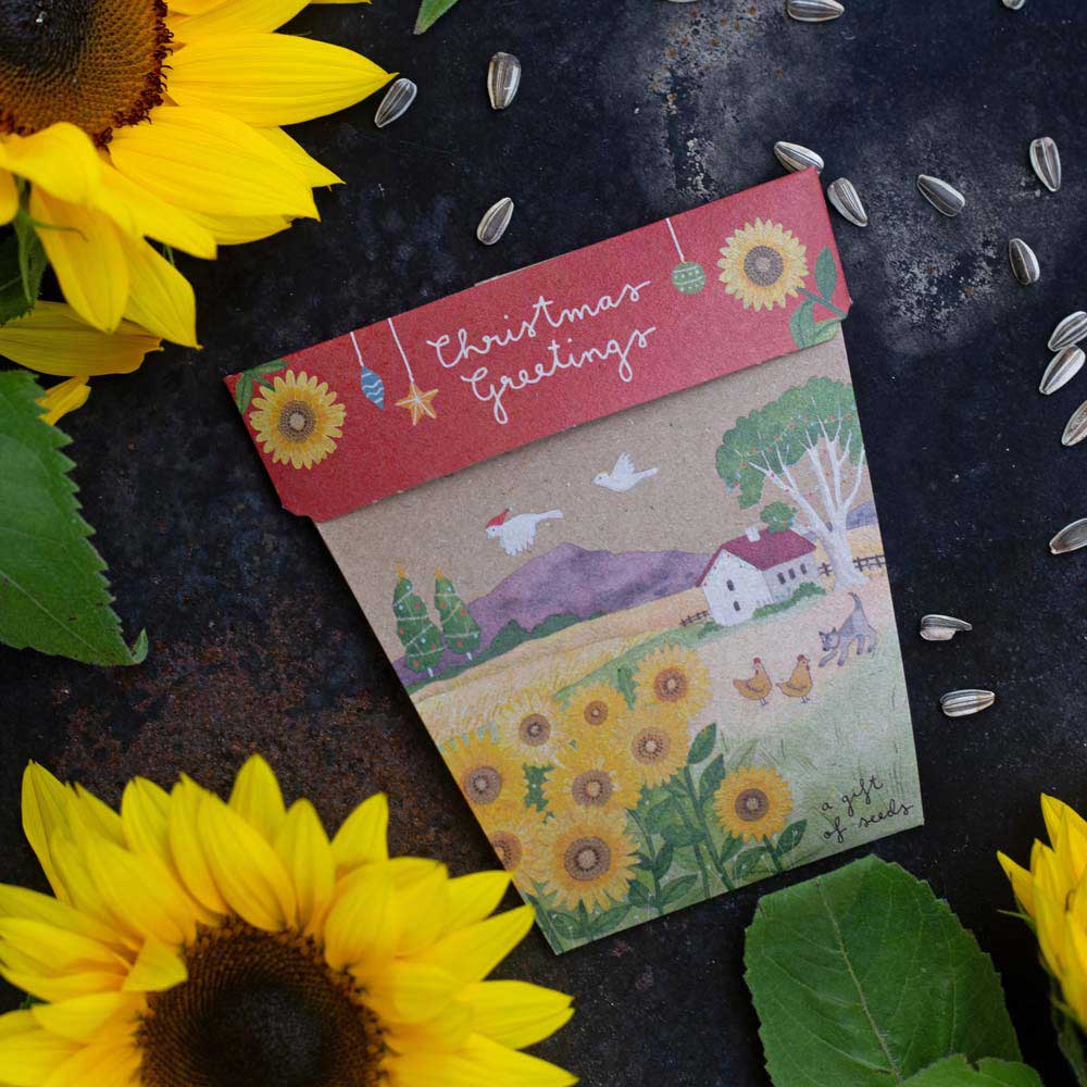 Sow 'n Sow Gift of Seeds - Christmas Sunflower