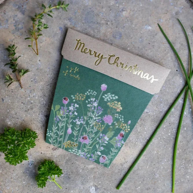 Sow 'n Sow Gift of Seeds - Christmas Herbs