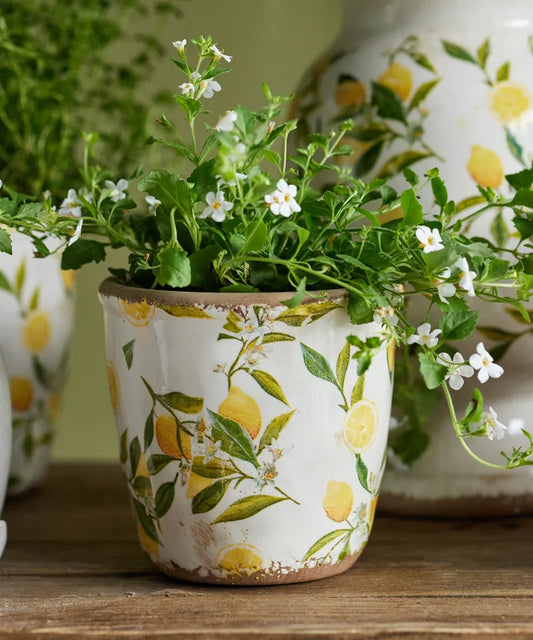 Botanical Lemon Pot - small