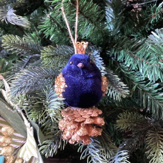 Navy Blue Velour Robin