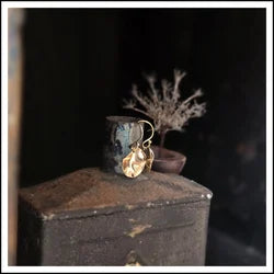 Paird Shimmer Earrings